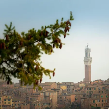 Elda Boutique Szálloda 3*